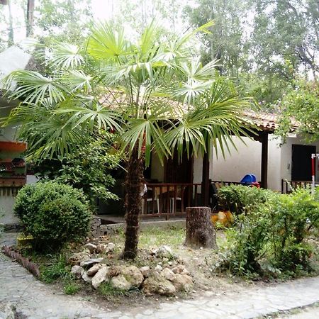 Camping Elizabeth Hotel Kalyvia Varikou Екстериор снимка