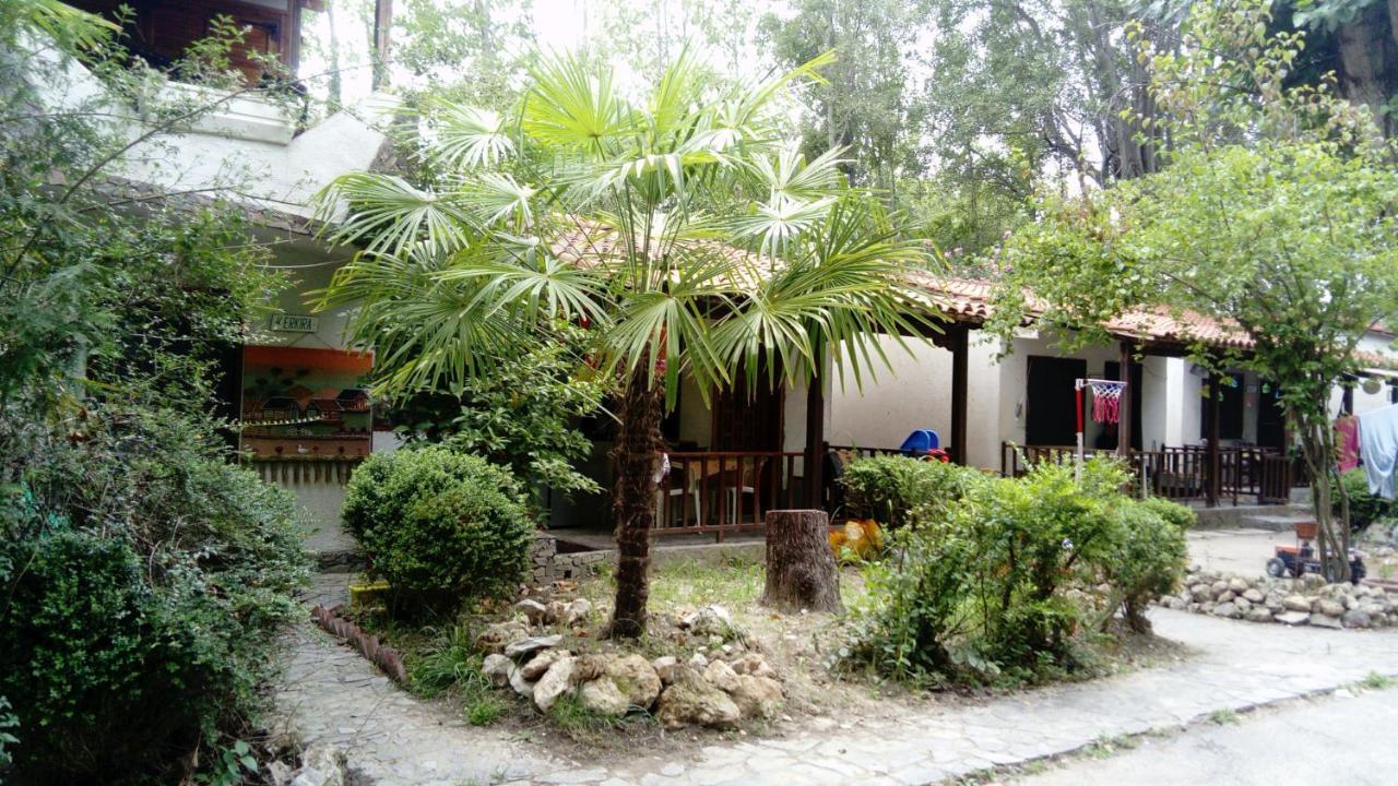Camping Elizabeth Hotel Kalyvia Varikou Екстериор снимка